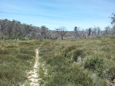 Carey Rd on the Mt Darling Range