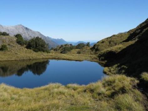 Thousands of beautiful tarns on the way across from Lake Roe - Seaforth in the background