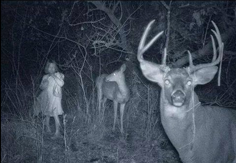 scary trail cam 1.jpg