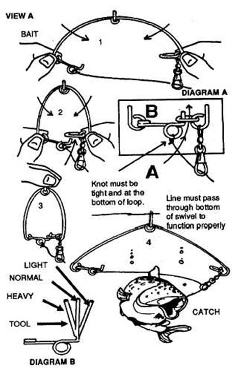 speedhooks