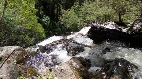 Mystery Falls First Cascade (1 of 6). This minor fall plunges approx 20 metres.